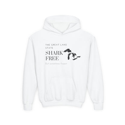 Michigan The Great Lake State Youth Hooded Sweatshirt - Prints and Fins