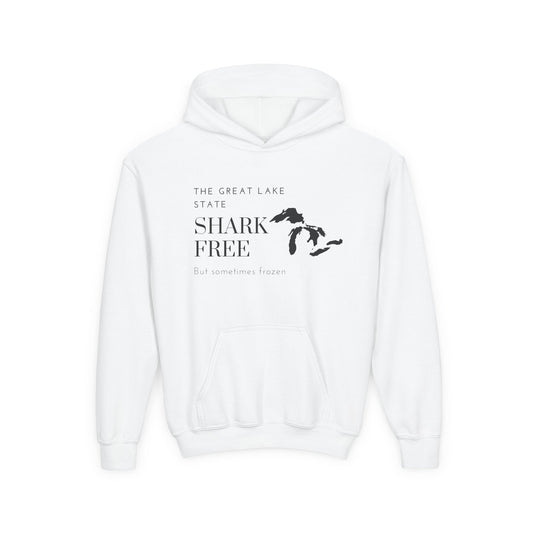 Michigan The Great Lake State Youth Hooded Sweatshirt - Prints and Fins