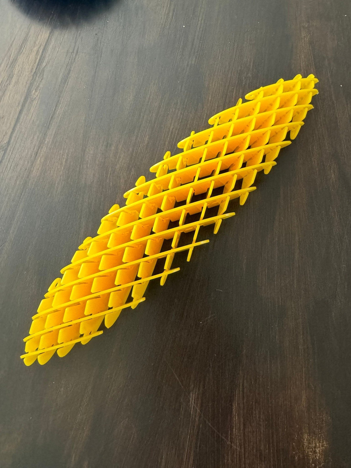 Shape - Shifting Fidget Worm - Sensory Stress Reliever for Kids Adults Fun Handheld Anxiety Relief Tool - Prints and Fins